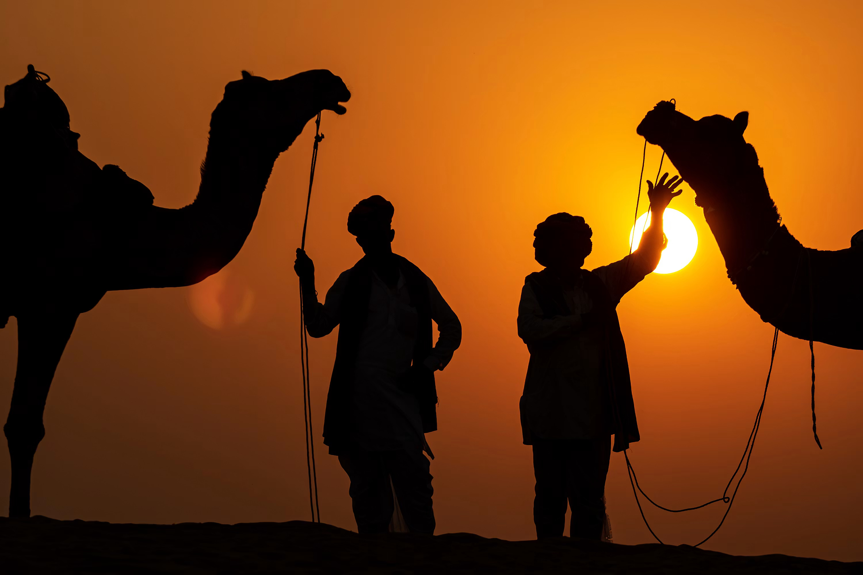 8-Day Delhi, Agra, Jaipur, Pushkar & Jodhpur Golden Triangle Tour